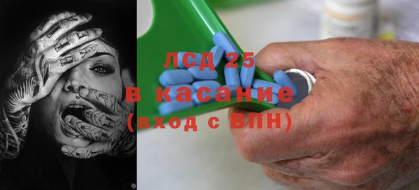 гашик Алексин
