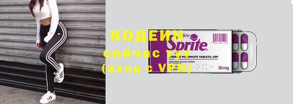 гашик Алексин