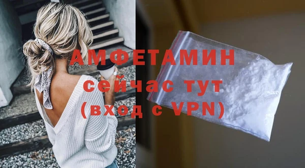 молекула духа Алексеевка