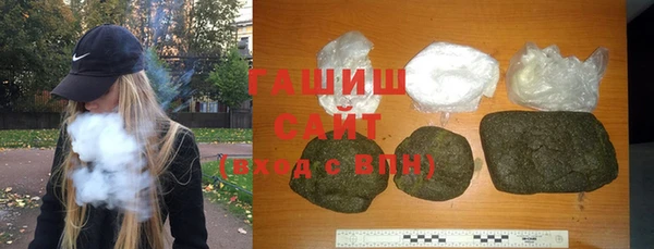 гашик Алексин