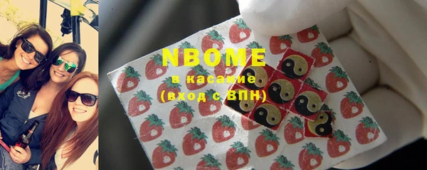гашик Алексин