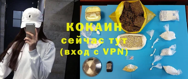 молекула духа Алексеевка