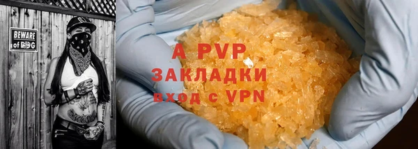 гашик Алексин