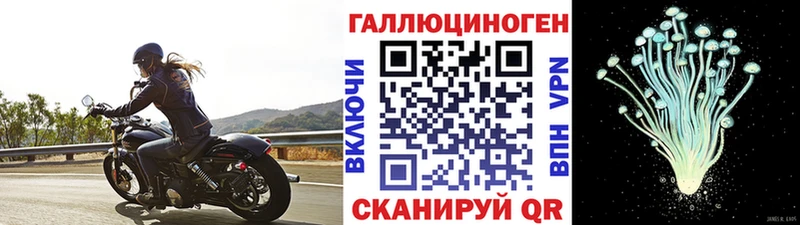 KRAKEN ONION Северодвинск Галлюциногенные грибы прущие грибы